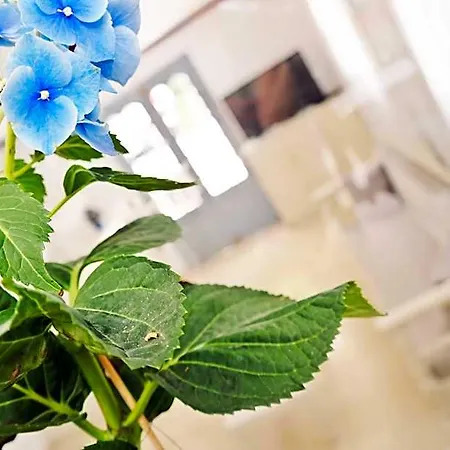 Apartahotel Golden Down Town Naxos City