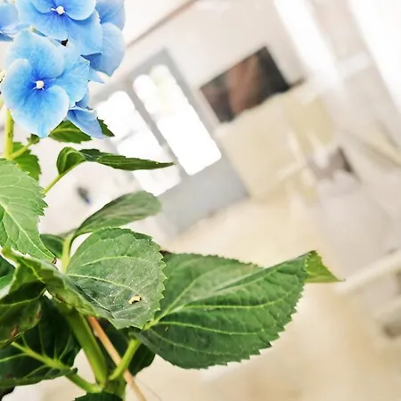 Golden Down Town 아파트호텔