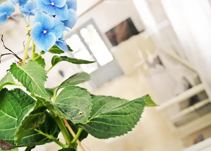 Golden Down Town Lejlighedshotel